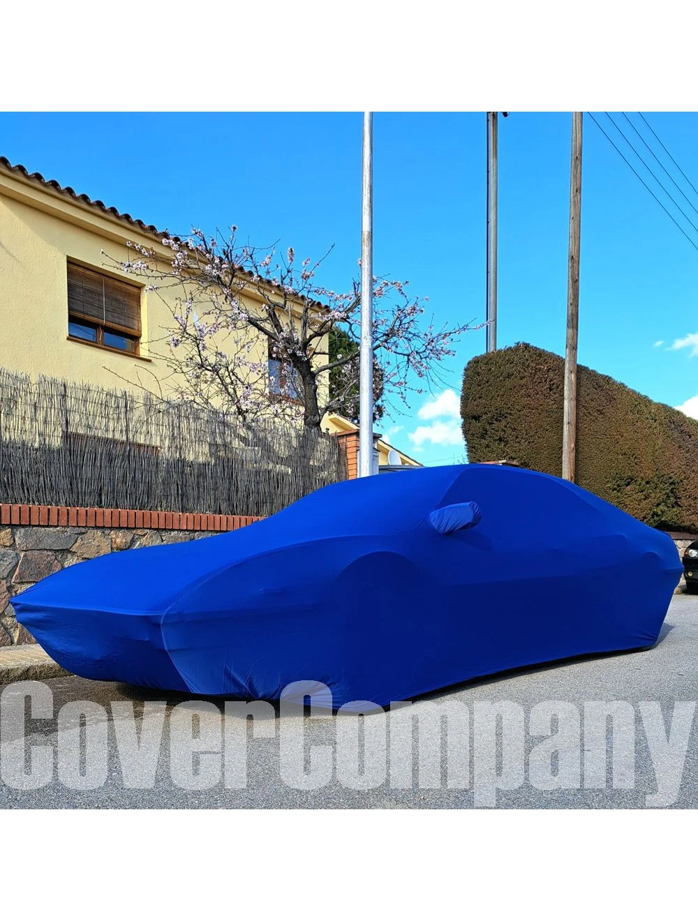 Indoor Car cover for Ferrari