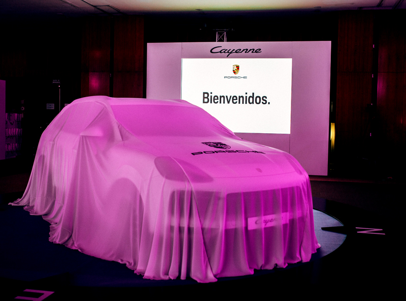 Reveal Car Cover Porsche