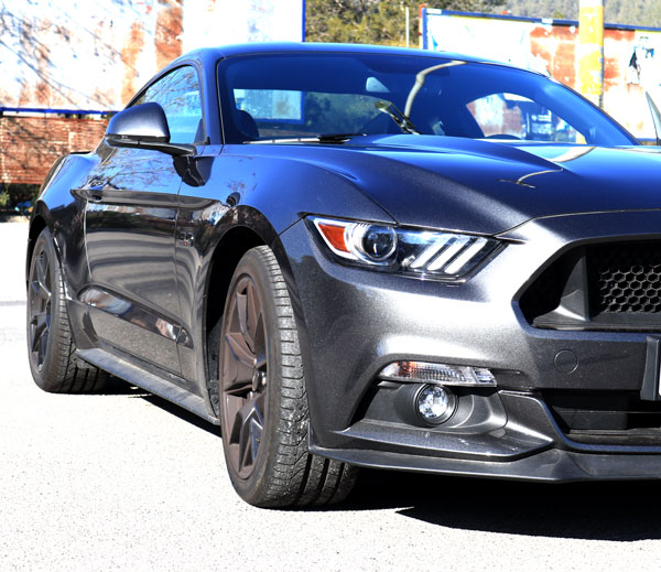  car cover mustang