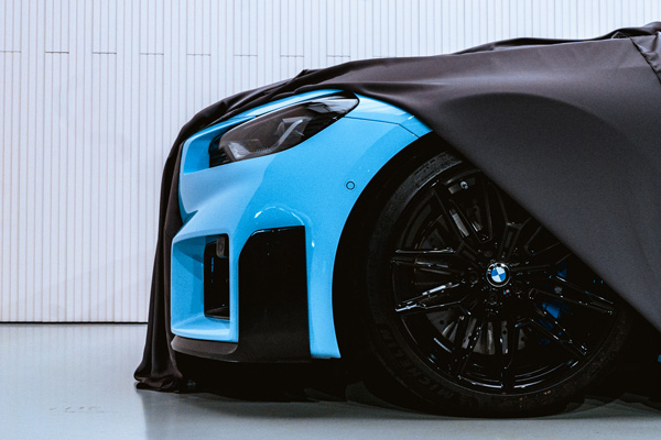 Car reveal cover
