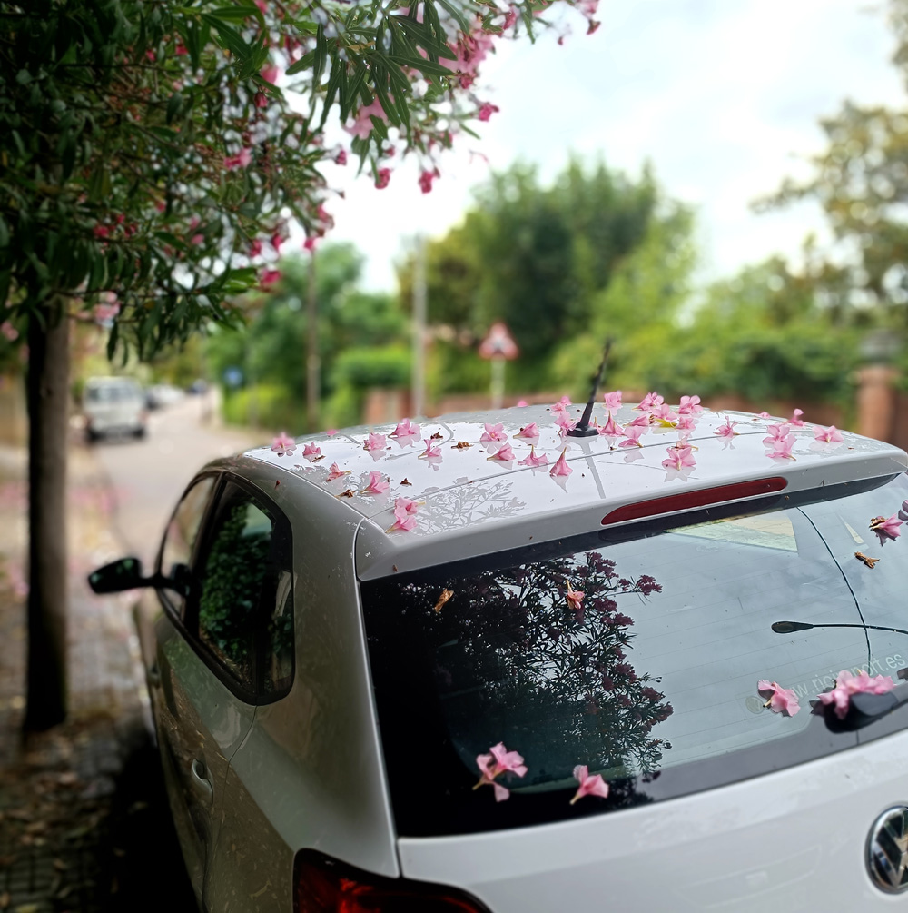 car protection cover for summer damage