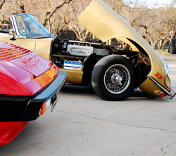  covers for jaguar e type